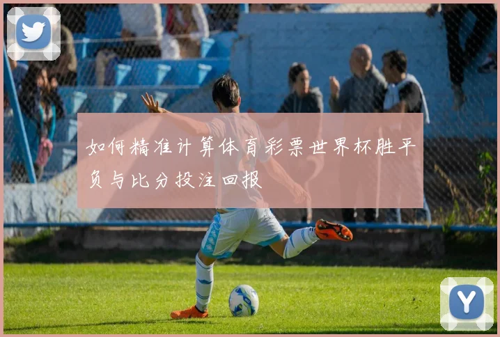 如何精准计算体育彩票世界杯胜平负与比分投注回报