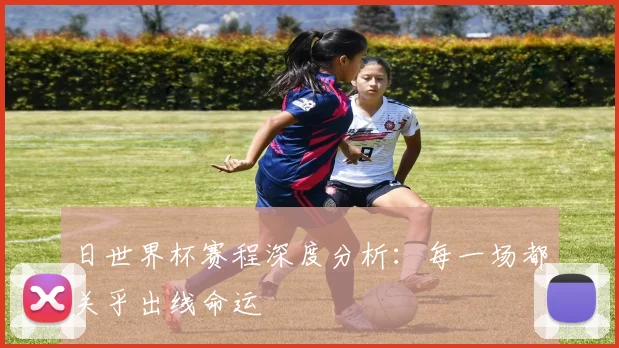 日世界杯赛程深度分析:每一场都关乎出线命运