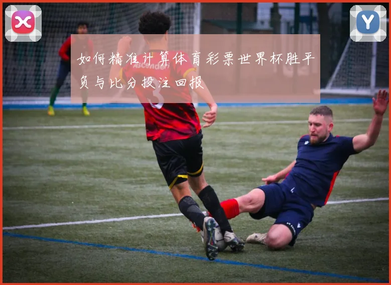 如何精准计算体育彩票世界杯胜平负与比分投注回报