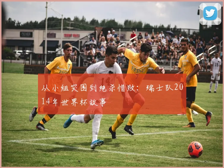 从小组突围到绝杀惜败:瑞士队2014年世界杯故事