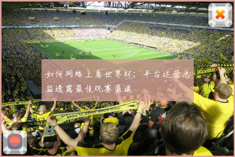 如何网络上看世界杯:平台运营总监透露最佳观赛渠道