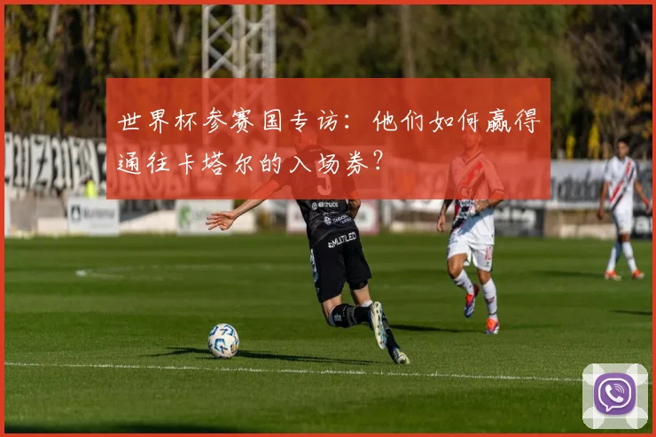 世界杯参赛国专访:他们如何赢得通往卡塔尔的入场券?