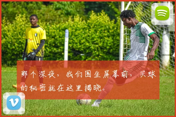 那个深夜，我们围坐屏幕前，买球的秘密就在这里揭晓。